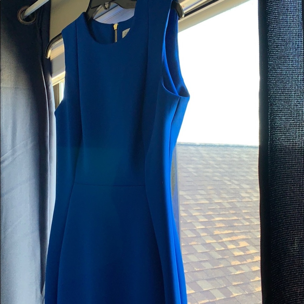 Calvin Klein Dress